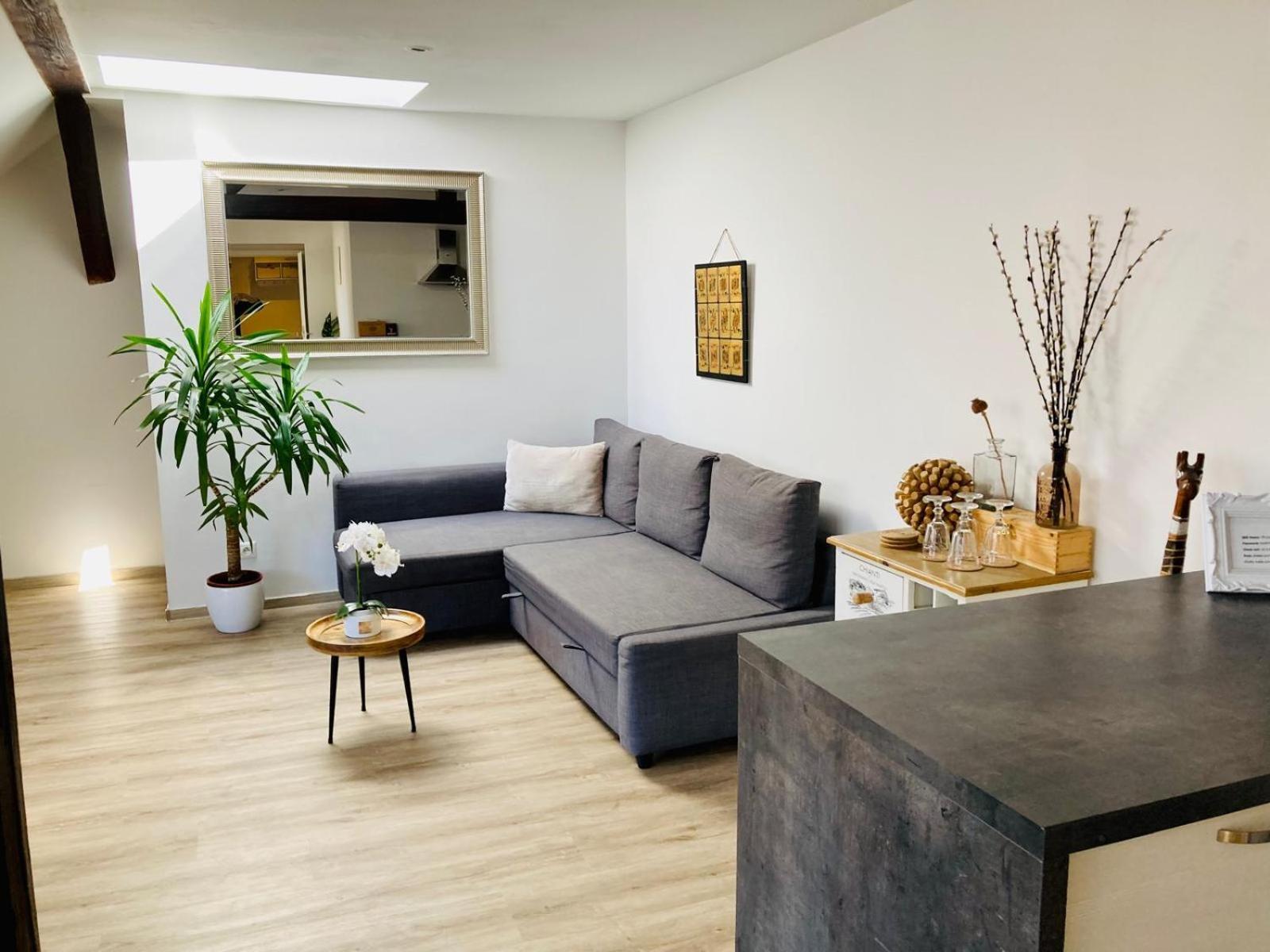 Vip Apartment In Old Town With Free Parking Bratislava Extérieur photo