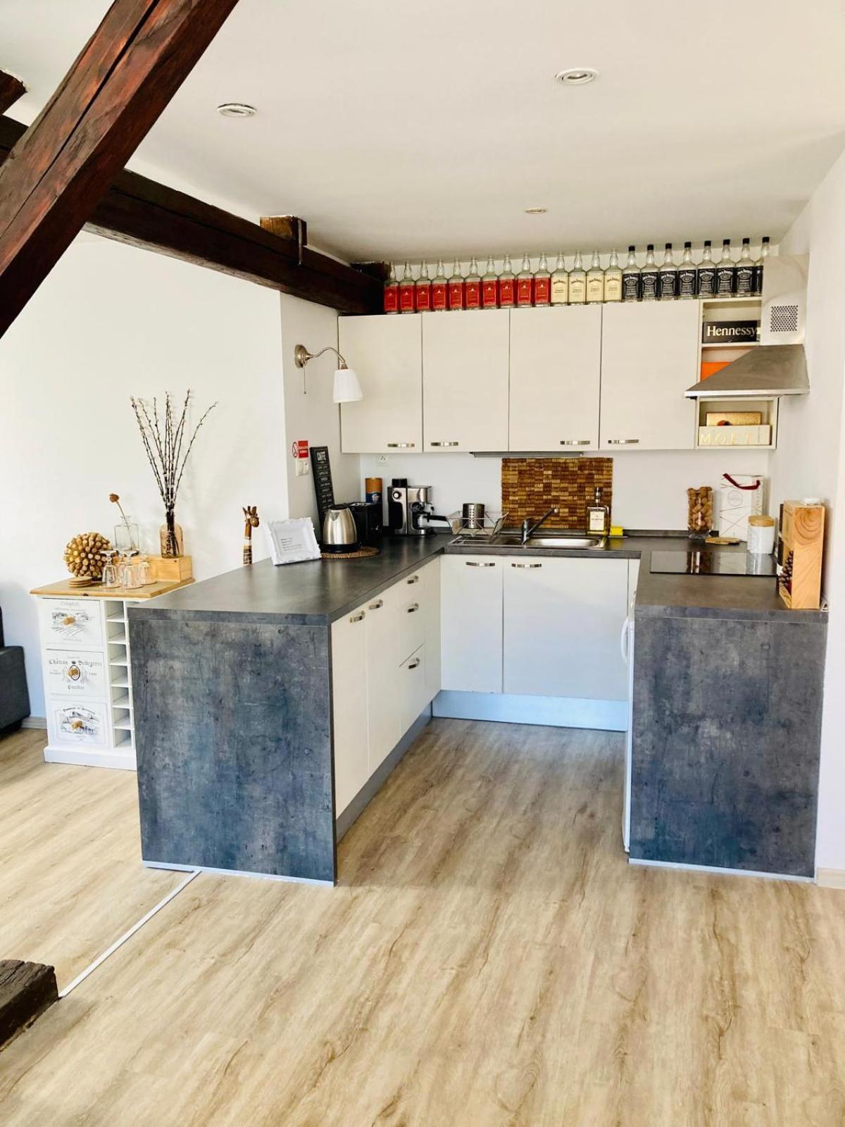 Vip Apartment In Old Town With Free Parking Bratislava Extérieur photo