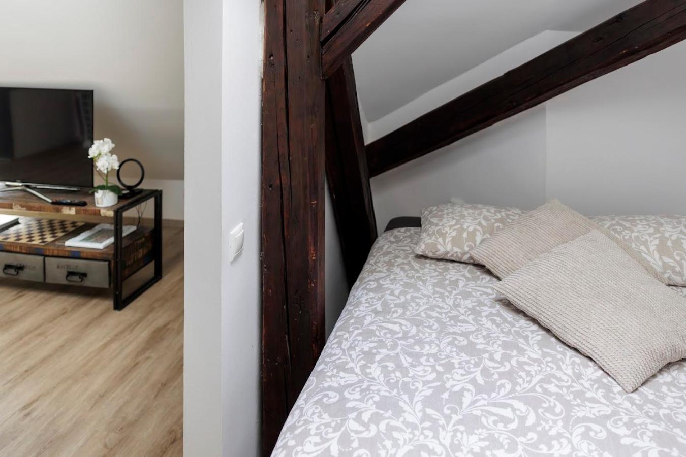 Vip Apartment In Old Town With Free Parking Bratislava Extérieur photo