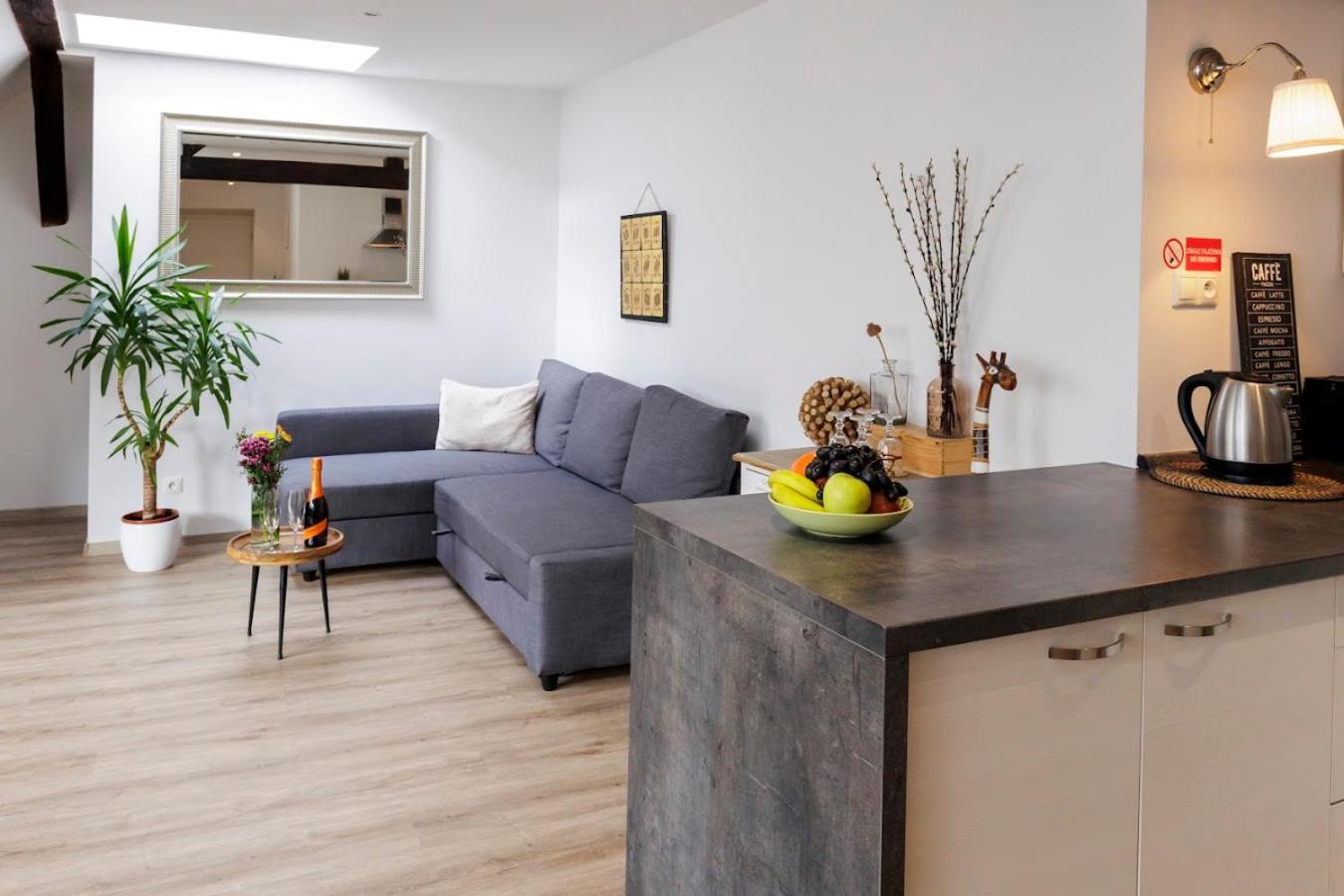 Vip Apartment In Old Town With Free Parking Bratislava Extérieur photo